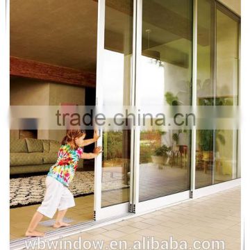 Fancy insulated interior doors with temporary glass