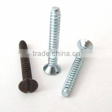 Slotted Countersunk Head Tapping Screw DIN7972