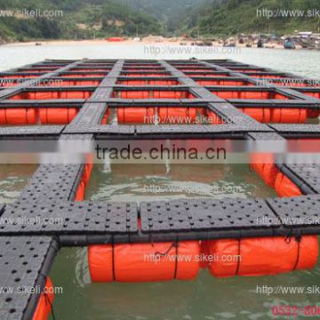 fish farming aquaculture net cage for Africa farmers project