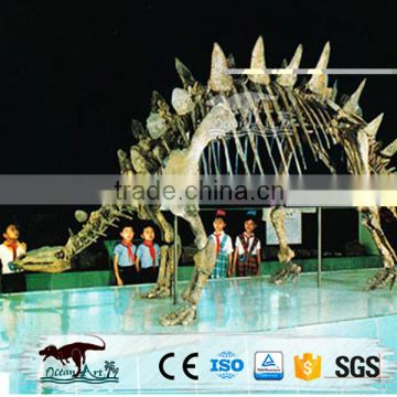 OA-DS-S2810 Dinosaur Skeleton Model For Sale