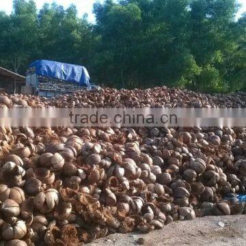 Coconut Fiber High Quality _ QQ : 2290755420