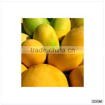 See larger image Fresh Alphonso Mangos Add to My Cart Add to My Favorites Fresh Alphonso Mangos