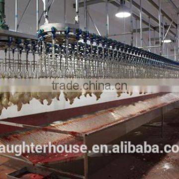 Professional manufacture stainless steel chick abattoir process line