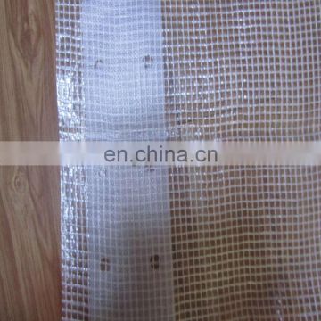 mesh pe tarpaulin for construction scafolding ,transparent pe tarpaulin