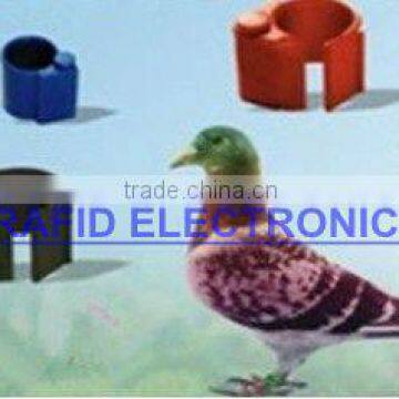 RFID electronic foot ring Electronic chicken foot ring