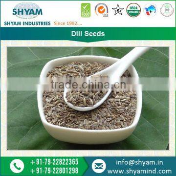 Conventional Range of Exclusively Pure Dill Seeds at Lowest Available Price