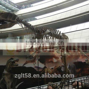 2014 Hot sale life size T-rex Dinosaur Fossil