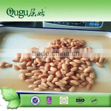Can food factory of Light Red Speckled Kidney Bean in tin