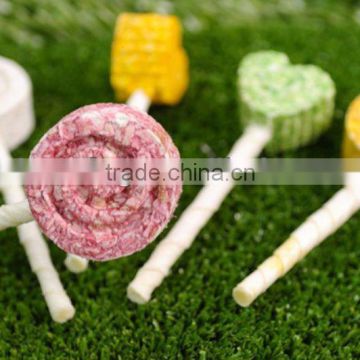 dog chew: colored lollipops
