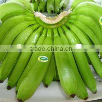 fresh green banana