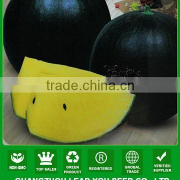 NW21 Haoyan Yellow watermelon seeds China seeds vegetable