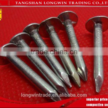 Universal Model Galvanized Treatment Agricultural Tools&Garden Tools Full Iron Roofing Nails&Clout Nails