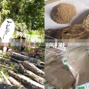 Incense powder, product of nature - Natural Agarwood chips or super gaharu