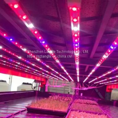led grow lights China Price led plant light manufacturer