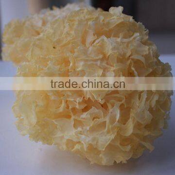 Dried Tremella Mushroom