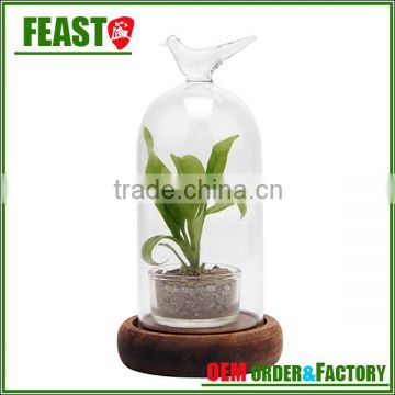 high borocilicate clear glass bell jar with glass dome cover