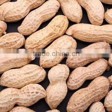 Raw Peanut in shell crop 2011