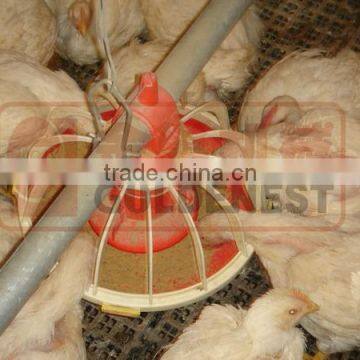 ^Famous Goldenest Feed Pan Chain System for Breeder