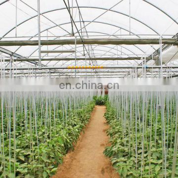 The Cheapest Hot Sale Mappower Agricultural/Commercial Plastic Greenhouse