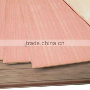 Liansheng produce plywood for 17 years on furniture that 4x8 plywood for Aisa market sale