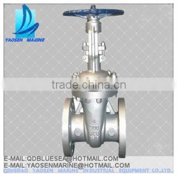 Wastewater treatment system Gate Valve