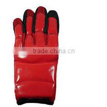 TaeKwonDo, UFC, MMA glove