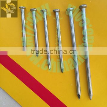 #55 steel cement nails from tianjin manufacture