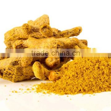 100% Pure nature Low price dried benefits of ginger powder