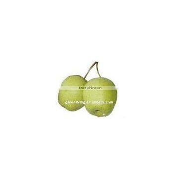varieties of chinese pears