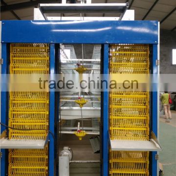 automatic poultry cage feeding system for sale