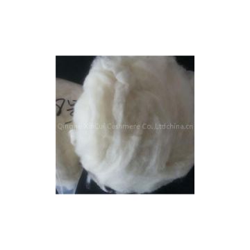 Carded Sheep Wool Fiber