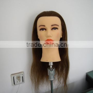 hot sell mannequin head male training mannequin head with human hair