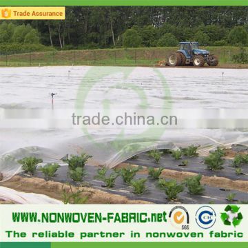 Agriculture UV resistant non woven fabric vegetation cover