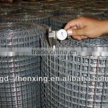 Hot-Dipped Galvanised Welded Wire Netting(factory in Guangzhou)