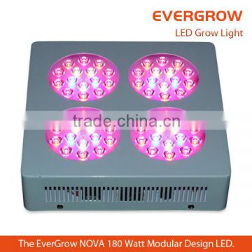 NOVA Series F16 LED Grow Light New Design 630w led plant grow light