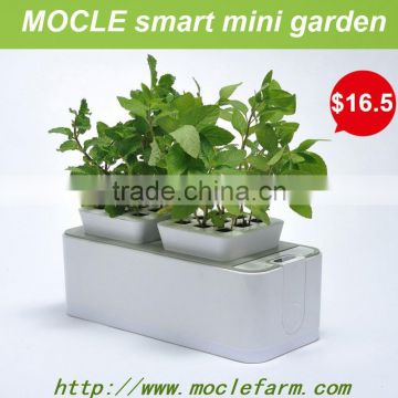 artificial mini potted plant