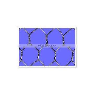 Hexagonal wire mesh