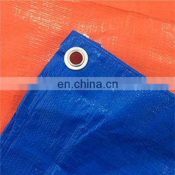 Factory Supplying ldpe lamination pe tarpaulin product