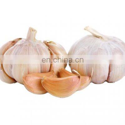 new crop Chinese fresh frozen garlic with reliable price