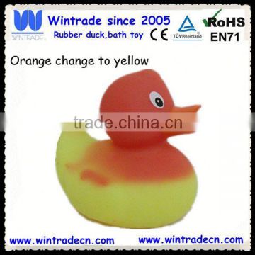 New orange duck change color