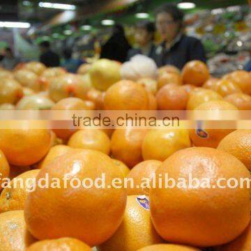 Fresh Navel orange(Gannan orange)