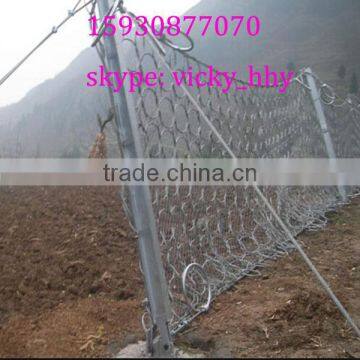 High strength active and passive Slope Protection System