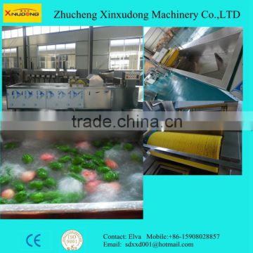 Automatic Vegetable Fruit Air Bubble Washing Machine; Bubble washing for vegetable fruit