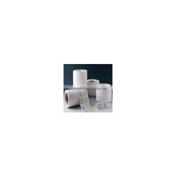 Direct Thermal adhesive paper in rolls and sheets for label printing