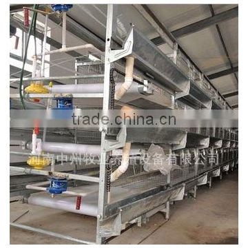 Factroy price manufacture chicken cage for manure removal systrm