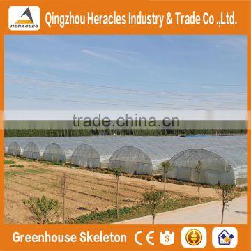 Heracles Trade Assurance poly tunnel mini greenhouse