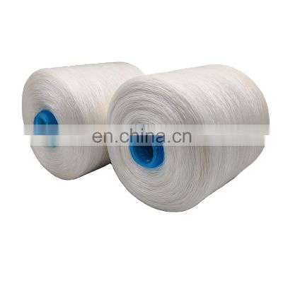 China Factory high tenacity Raw White 100% nylon 6 nylon 66 bonded Sewing Thread