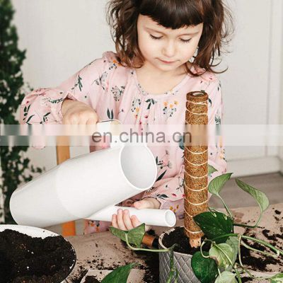 Wholesale Decorative Sticks Climbing Creative Labels Moss Garden Support Plant Stakes