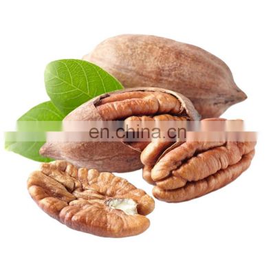 Byloo  China Certified special nuts high class sweet salted pecan price