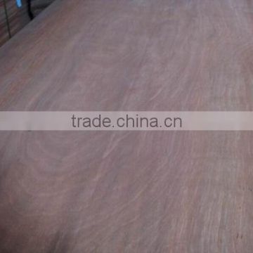 cheaper price 0.30mm keruing gurjan face veneer enginner gurjan veneer for india market linyi factory
